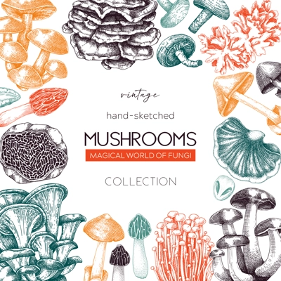 Autumn forest background. Woodland animals, fall leaves, ferns, mushrooms sketches. Fall nature backdrop. Hand-drawn vector illustration. Vintage botanical invitation or greeting card, frame design